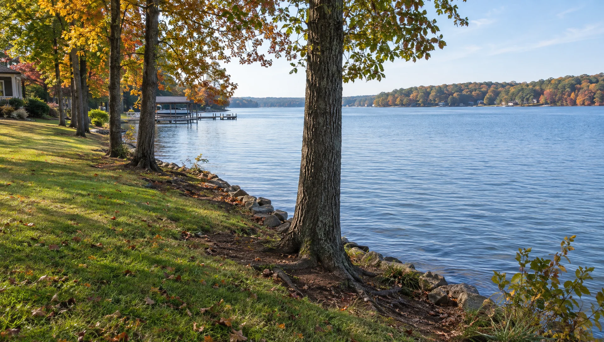 Exposed soil and roots beside a calm freshwater shoreline